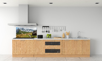 Konyhai dekorpanel Hale tatry