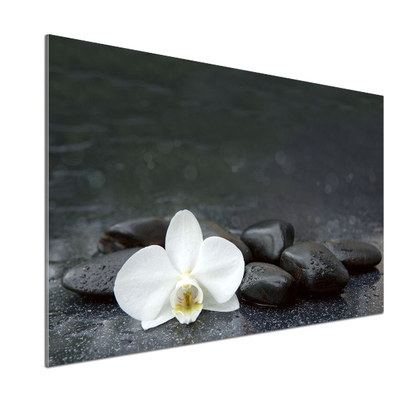 Konyhai falburkoló panel Orchidea