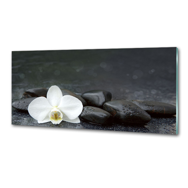 Konyhai falburkoló panel Orchidea