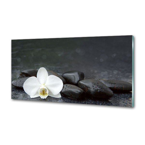 Konyhai falburkoló panel Orchidea