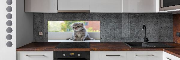 Konyhai fali panel Kis macska az ablakban
