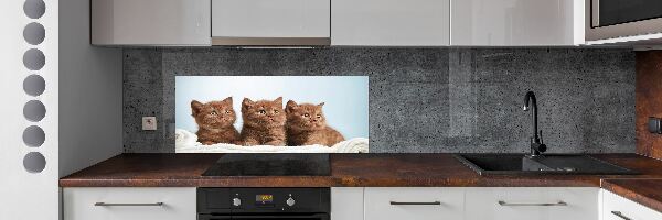 Konyhai fali panel Macska a törülközőt