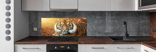 Konyhai fali panel Bengáli tigris