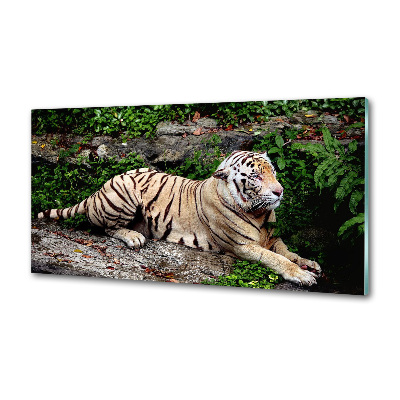 Konyhai fali panel Tiger a rock