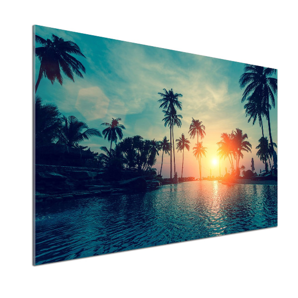 Konyhai dekorpanel Sunset tenyér