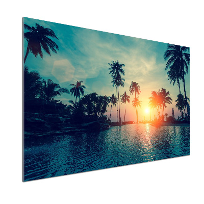 Konyhai dekorpanel Sunset tenyér