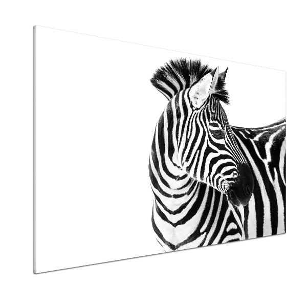 Konyhai fali panel Zebra hó