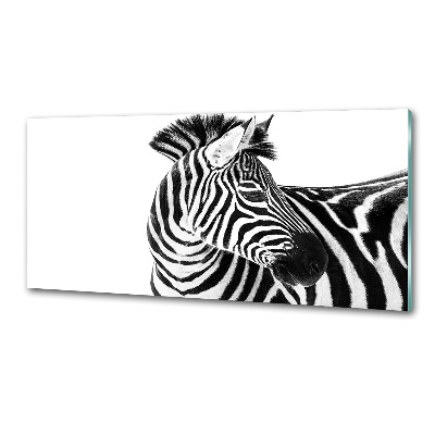 Konyhai fali panel Zebra hó