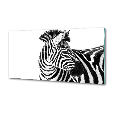 Konyhai fali panel Zebra hó