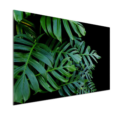 Konyhai falburkoló panel Monstera