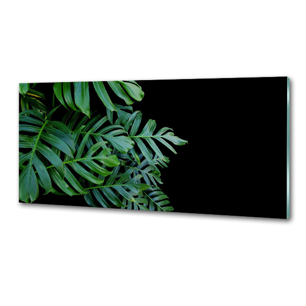 Konyhai falburkoló panel Monstera