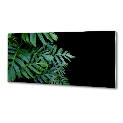 Konyhai falburkoló panel Monstera