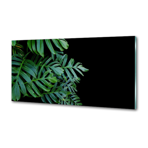 Konyhai falburkoló panel Monstera