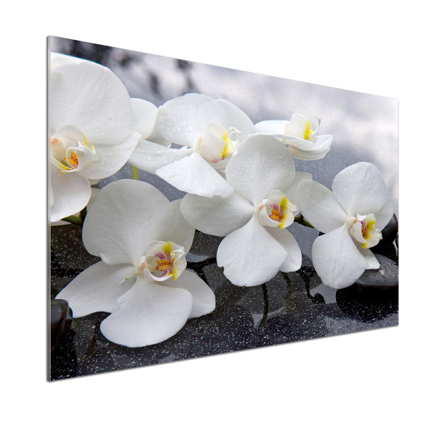 Konyhai falburkoló panel Orchidea