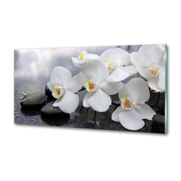 Konyhai falburkoló panel Orchidea