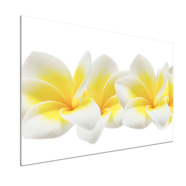 Konyhai falburkoló panel Plumeria