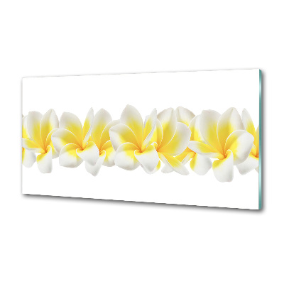 Konyhai falburkoló panel Plumeria