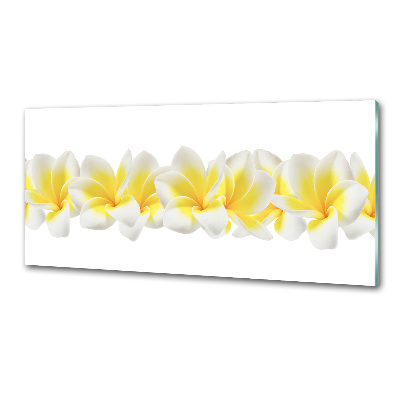 Konyhai falburkoló panel Plumeria