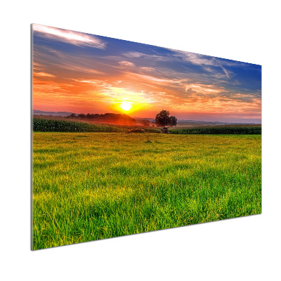 Konyhapanel Sunset meadow