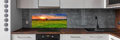 Konyhapanel Sunset meadow