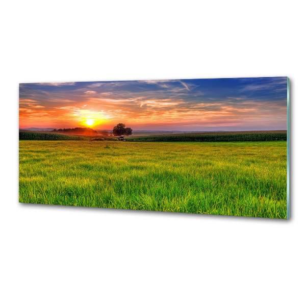 Konyhapanel Sunset meadow