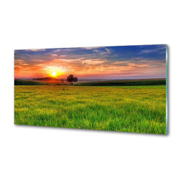 Konyhapanel Sunset meadow