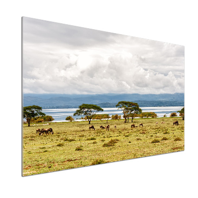 Konyhapanel Lake naivasha