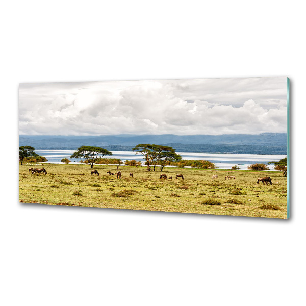 Konyhapanel Lake naivasha