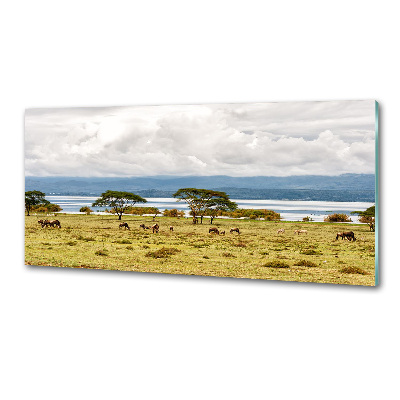 Konyhapanel Lake naivasha