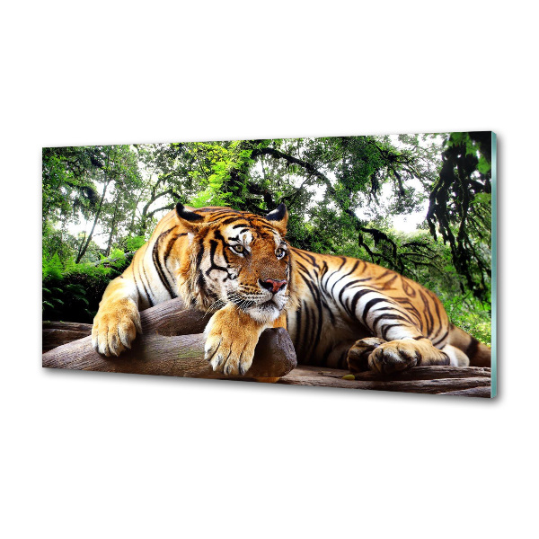 Konyhai fali panel Tiger a rock