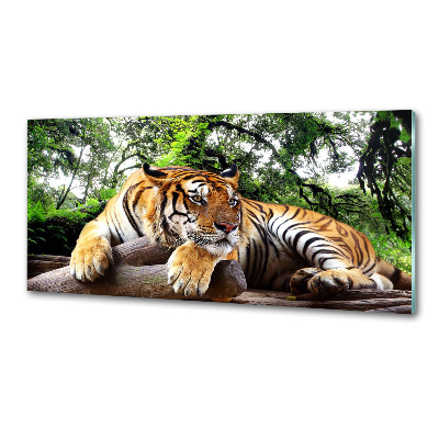 Konyhai fali panel Tiger a rock