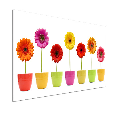 Konyhai falburkoló panel Színes gerbera