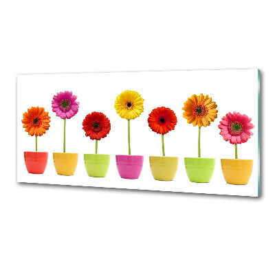 Konyhai falburkoló panel Színes gerbera