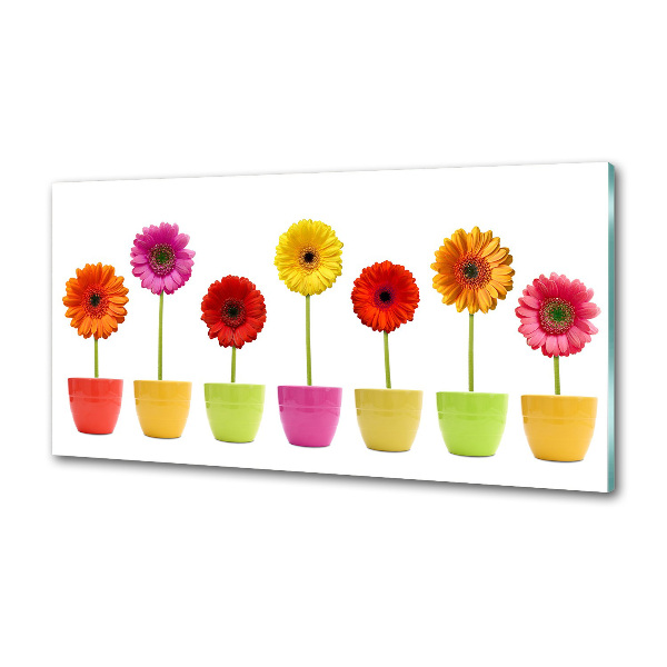 Konyhai falburkoló panel Színes gerbera