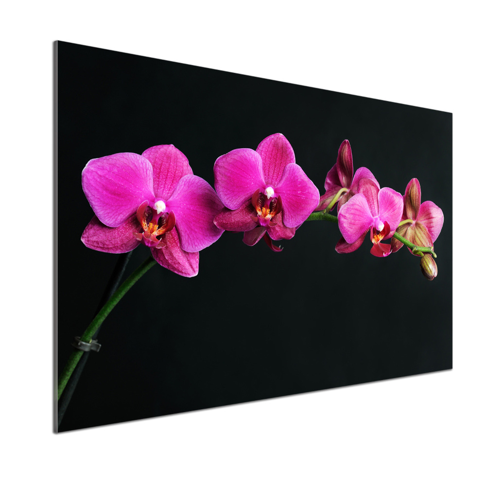Konyhai falburkoló panel Orchidea