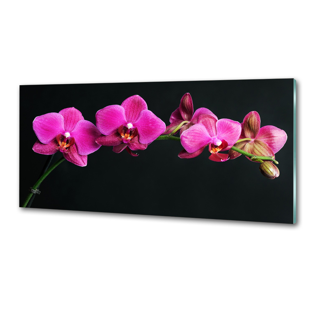 Konyhai falburkoló panel Orchidea