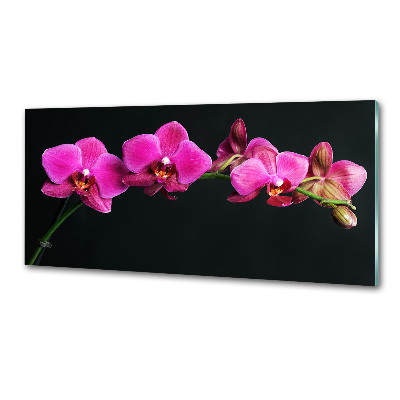 Konyhai falburkoló panel Orchidea