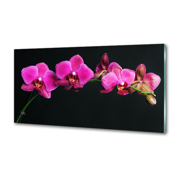 Konyhai falburkoló panel Orchidea