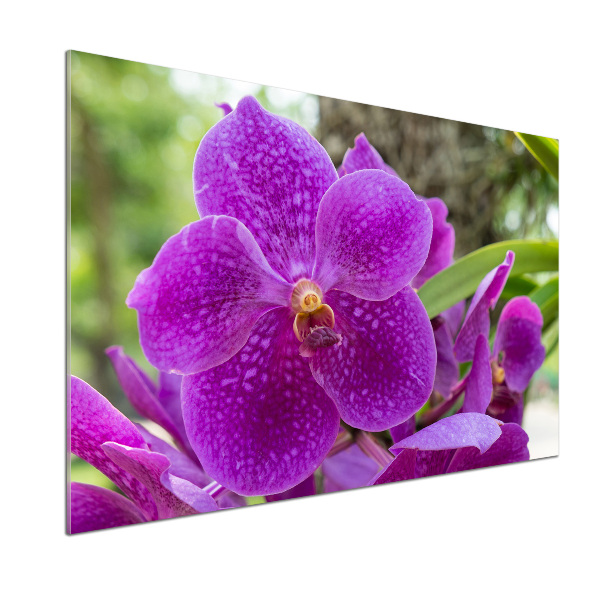 Konyhai falburkoló panel Orchidea