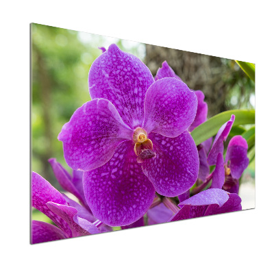 Konyhai falburkoló panel Orchidea