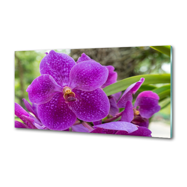 Konyhai falburkoló panel Orchidea