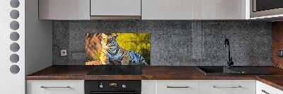 Konyhai fali panel Portré egy tigris