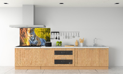 Konyhai fali panel Portré egy tigris