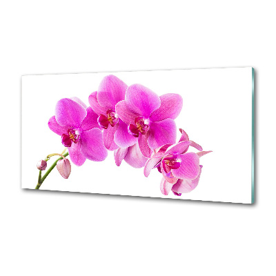 Konyhai falburkoló panel Rózsaszín orchidea