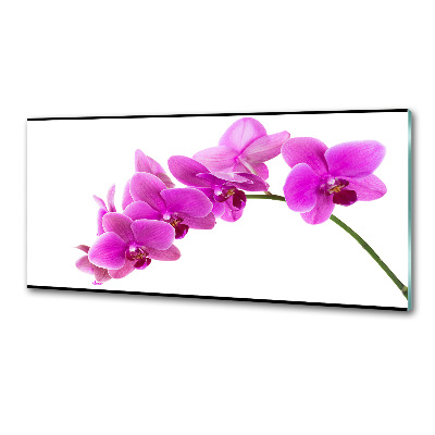 Konyhai falburkoló panel Rózsaszín orchidea