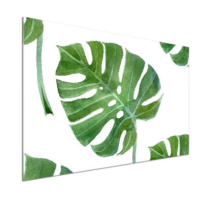 Konyhai hátfalpanel Monstera