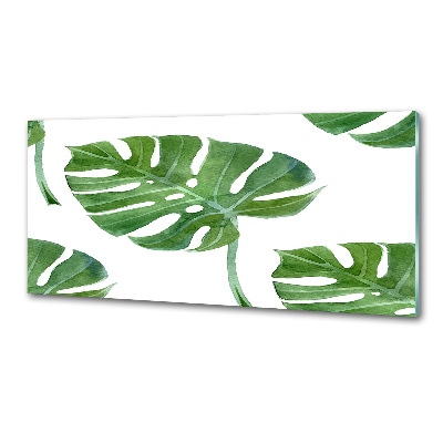 Konyhai hátfalpanel Monstera