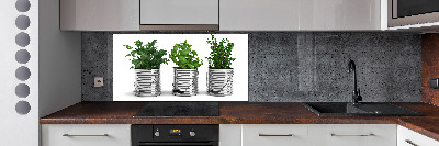 Konyhai dekorpanel Aromás növények