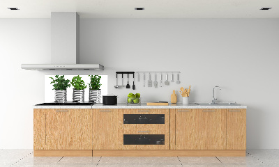 Konyhai dekorpanel Aromás növények