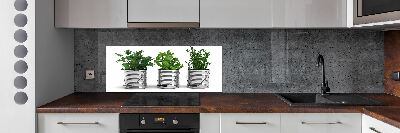 Konyhai dekorpanel Aromás növények